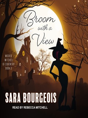 cover image of Broom with a View